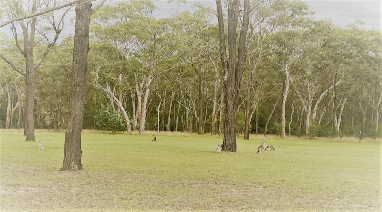 Unlax @ Hunter Valley Pokolbin Exterior photo